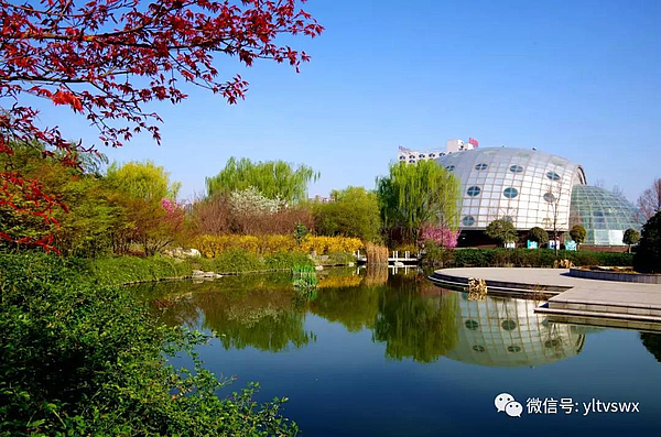 QQ图片20191007100425.jpg